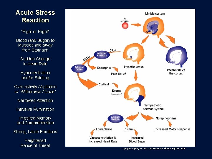 Acute Stress Reaction “Fight or Flight” Blood (and Sugar) to Muscles and away from