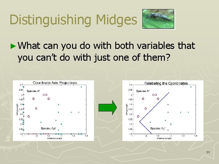 Distinguishing Midges ► What can you do with both variables that you can’t do