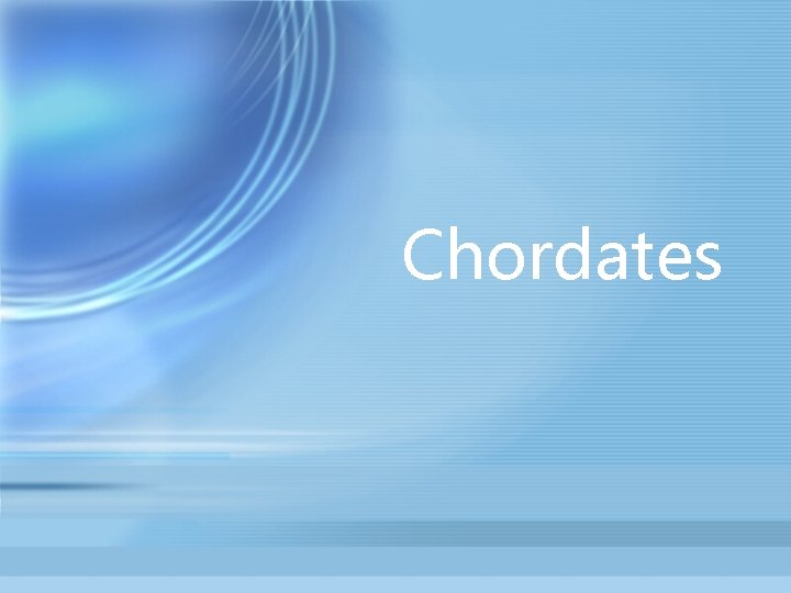 Chordates 