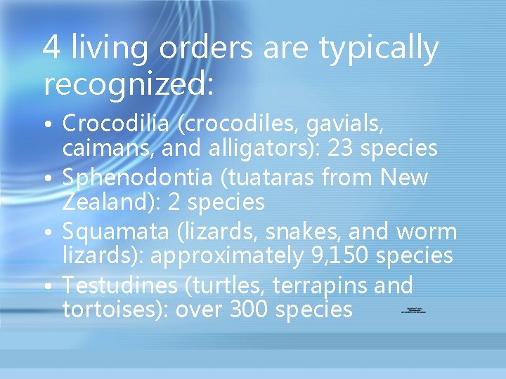 4 living orders are typically recognized: • Crocodilia (crocodiles, gavials, caimans, and alligators): 23