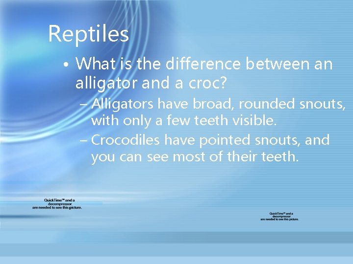 Reptiles • What is the difference between an alligator and a croc? – Alligators