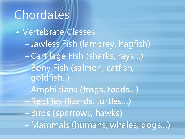 Chordates • Vertebrate Classes – Jawless Fish (lamprey, hagfish) – Cartilage Fish (sharks, rays…)