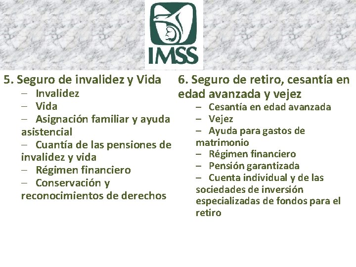 5. Seguro de invalidez y Vida – Invalidez – Vida – Asignación familiar y
