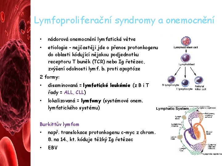 Lymfoproliferační syndromy a onemocnění • nádorová onemocnění lymfatické větve • etiologie - nejčastěji jde