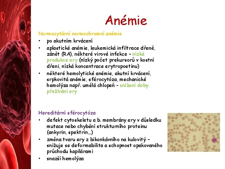 Anémie Normocytární normochromní anémie • po akutním krvácení • aplastické anémie, leukemická infiltrace dřeně,