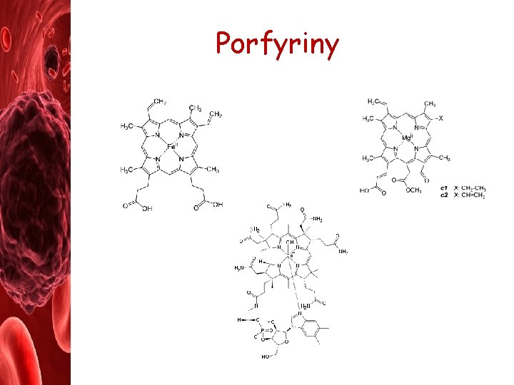 Porfyriny 