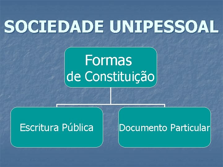 SOCIEDADE UNIPESSOAL Formas de Constituição Escritura Pública Documento Particular SOCIEDADE UNIPESSOAL Formas de Constituição Escritura Pública Documento Particular