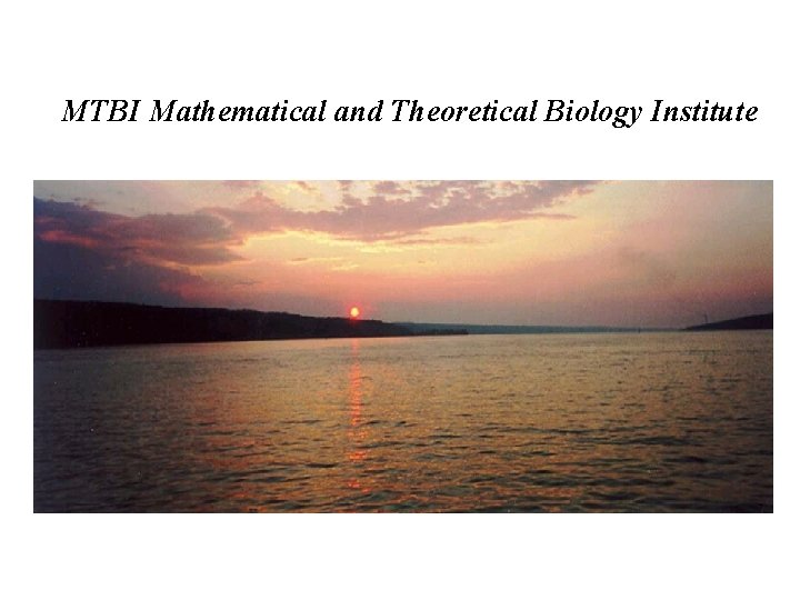 MTBI Mathematical and Theoretical Biology Institute 