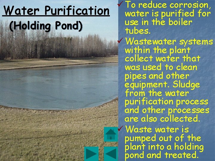 Water Purification (Holding Pond) ü To reduce corrosion, water is purified for use in