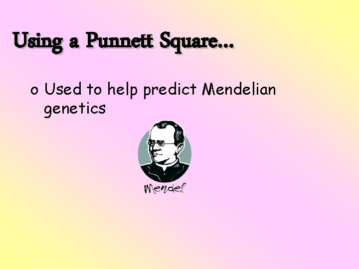 Using a Punnett Square… o Used to help predict Mendelian genetics 