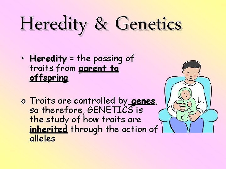 Heredity & Genetics • Heredity = the passing of traits from parent to offspring
