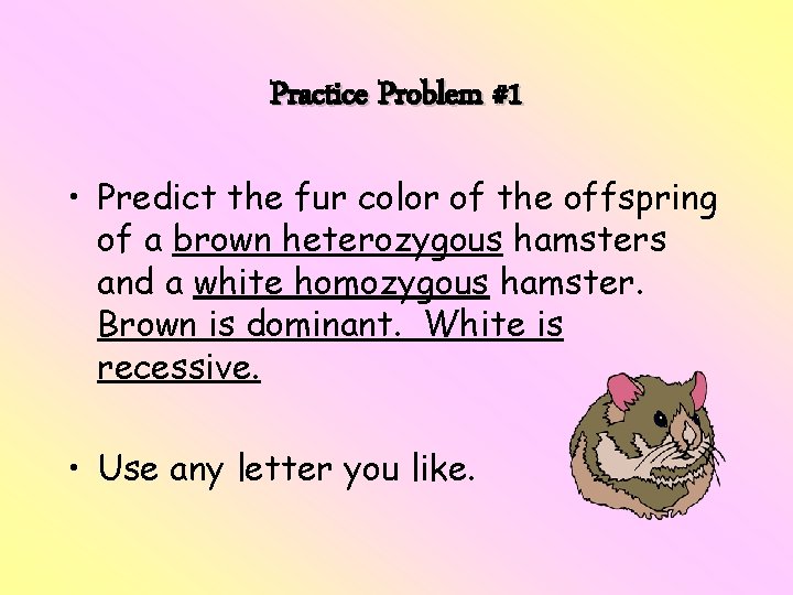 Practice Problem #1 • Predict the fur color of the offspring of a brown