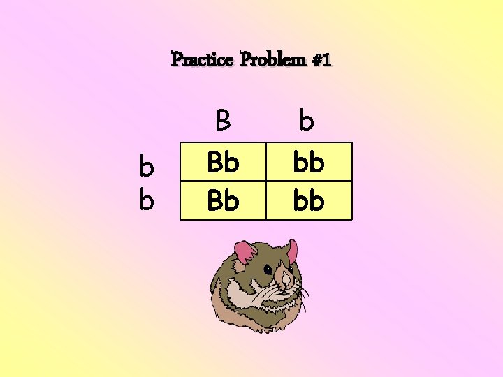 Practice Problem #1 b b B Bb Bb b bb bb 
