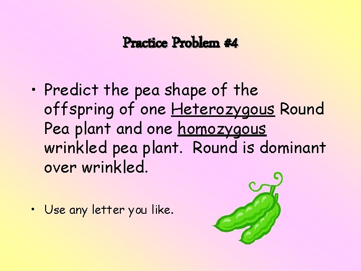 Practice Problem #4 • Predict the pea shape of the offspring of one Heterozygous