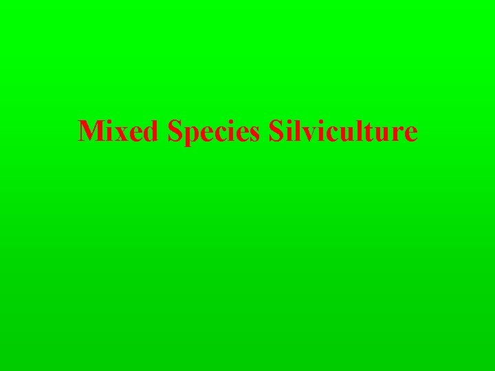 Mixed Species Silviculture 