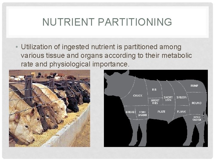 NUTRIENT PARTITIONING • Utilization of ingested nutrient is partitioned among various tissue and organs
