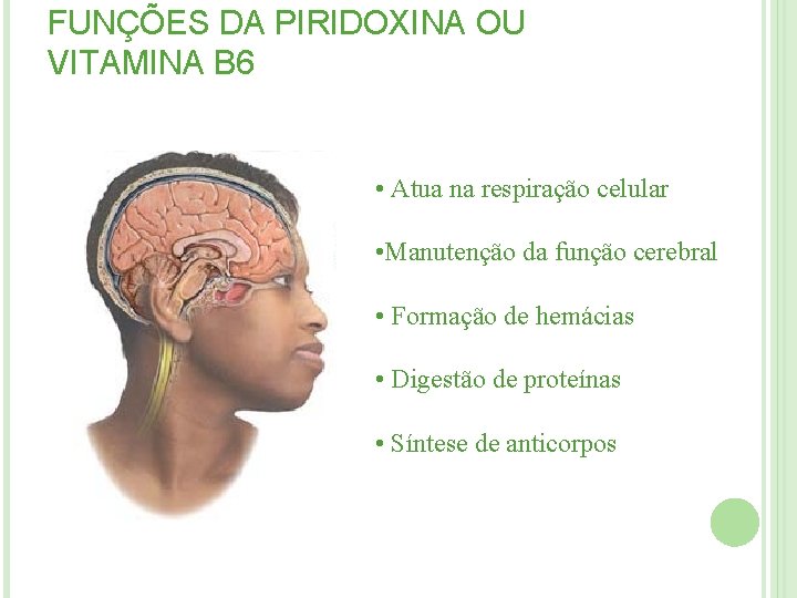 FUNÇÕES DA PIRIDOXINA OU VITAMINA B 6 • Atua na respiração celular • Manutenção FUNÇÕES DA PIRIDOXINA OU VITAMINA B 6 • Atua na respiração celular • Manutenção