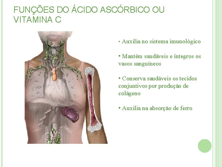FUNÇÕES DO ÁCIDO ASCÓRBICO OU VITAMINA C • Auxilia no sistema imunológico • Mantém FUNÇÕES DO ÁCIDO ASCÓRBICO OU VITAMINA C • Auxilia no sistema imunológico • Mantém