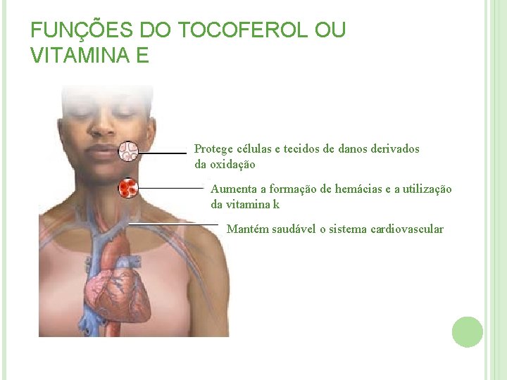 FUNÇÕES DO TOCOFEROL OU VITAMINA E Protege células e tecidos de danos derivados da FUNÇÕES DO TOCOFEROL OU VITAMINA E Protege células e tecidos de danos derivados da