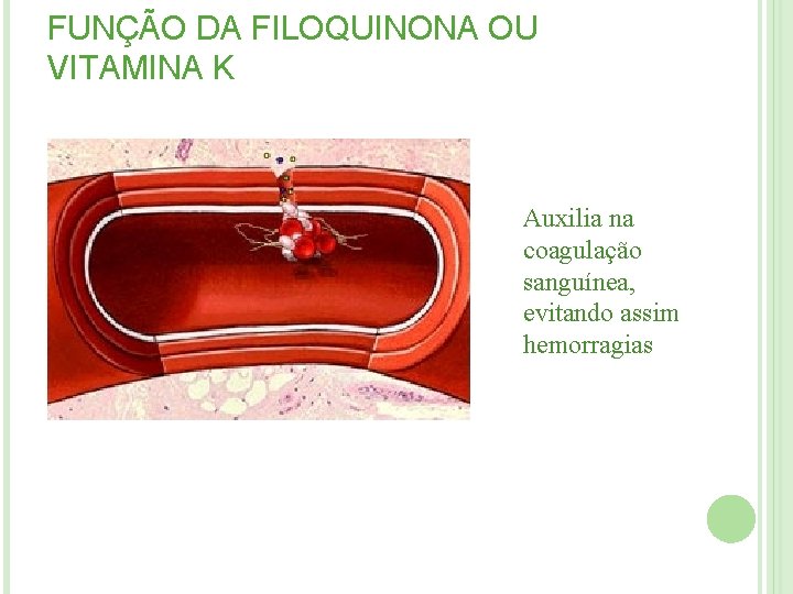 FUNÇÃO DA FILOQUINONA OU VITAMINA K Auxilia na coagulação sanguínea, evitando assim hemorragias FUNÇÃO DA FILOQUINONA OU VITAMINA K Auxilia na coagulação sanguínea, evitando assim hemorragias