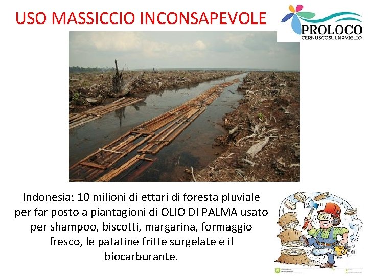 USO MASSICCIO INCONSAPEVOLE Indonesia: 10 milioni di ettari di foresta pluviale per far posto