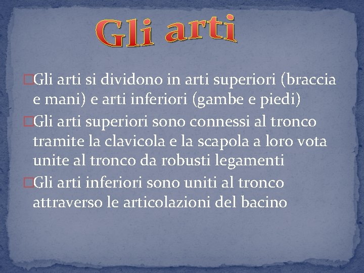 �Gli arti si dividono in arti superiori (braccia e mani) e arti inferiori (gambe