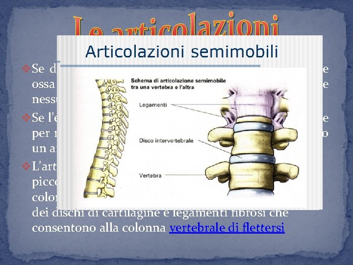 v Se due ossa sono tenute insieme da suture come le ossa del cranio