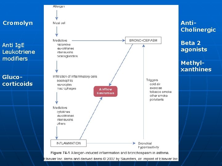 Cromolyn Anti. Cholinergic Anti Ig. E Leukotriene modifiers Beta 2 agonists Glucocorticoids Methylxanthines 