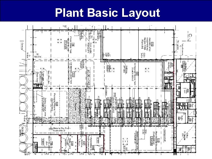 Plant Basic Layout 