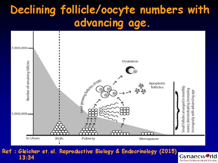 Declining follicle/oocyte numbers with advancing age. Ref : Gleicher et. al. Reproductive Biology &