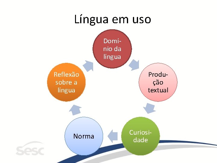 Língua em uso Domínio da língua Reflexão sobre a língua Norma Produção textual Curiosidade