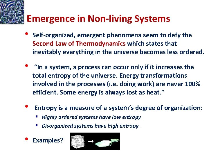 Emergence in Non-living Systems • Self-organized, emergent phenomena seem to defy the Second Law