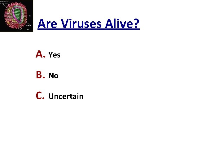 Are Viruses Alive? A. Yes B. No C. Uncertain 