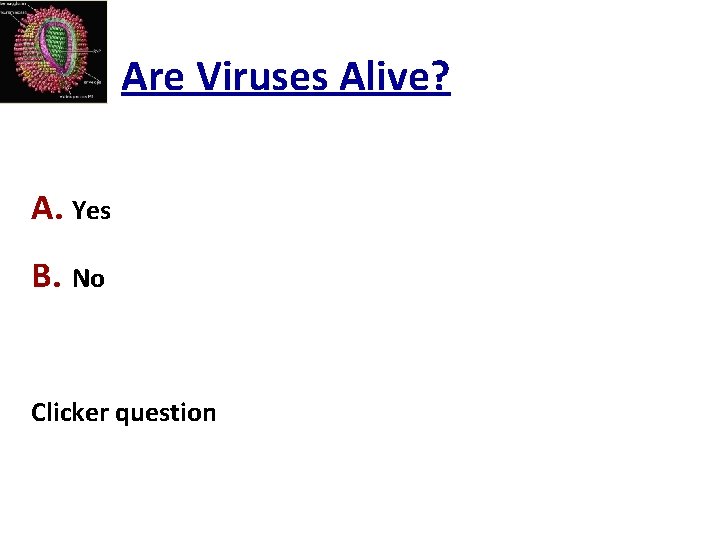 Are Viruses Alive? A. Yes B. No Clicker question 
