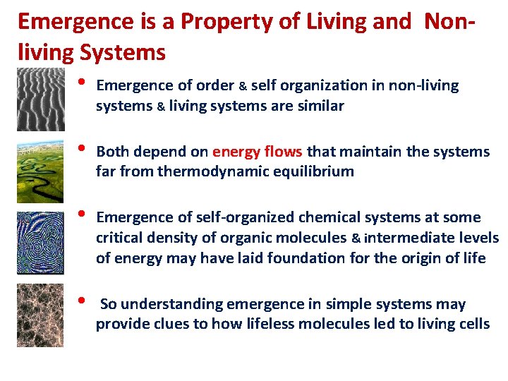Emergence is a Property of Living and Nonliving Systems • Emergence of order &