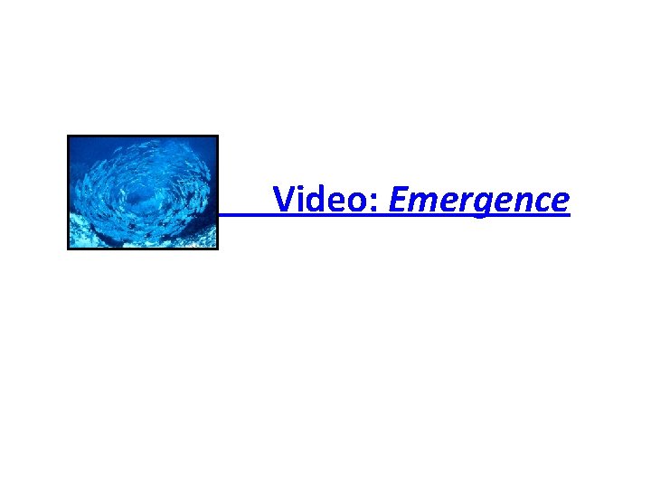 Video: Emergence 
