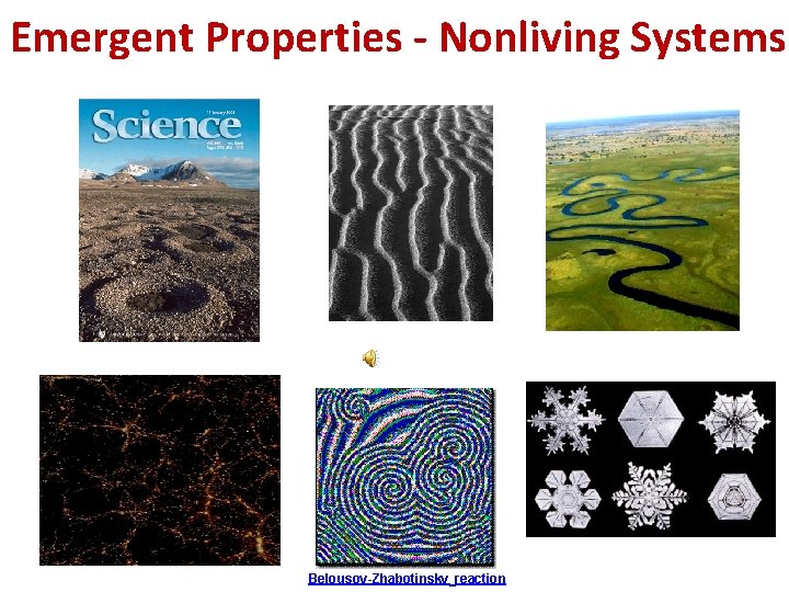 Emergent Properties - Nonliving Systems Belousov-Zhabotinsky reaction 