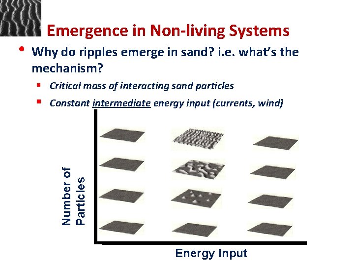 Emergence in Non-living Systems • Why do ripples emerge in sand? i. e. what’s