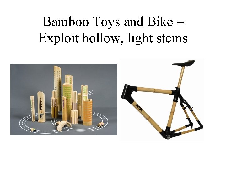 Bamboo Toys and Bike – Exploit hollow, light stems 
