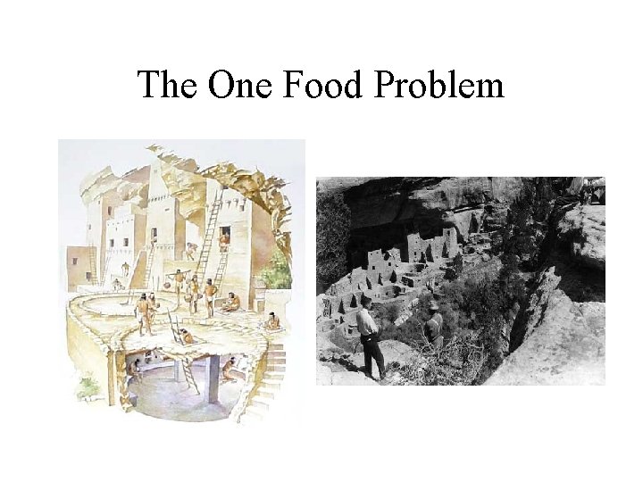 The One Food Problem 