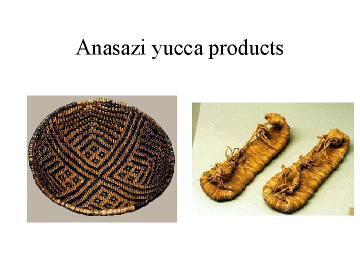 Anasazi yucca products 