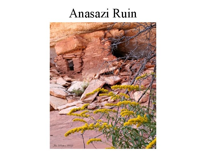 Anasazi Ruin 