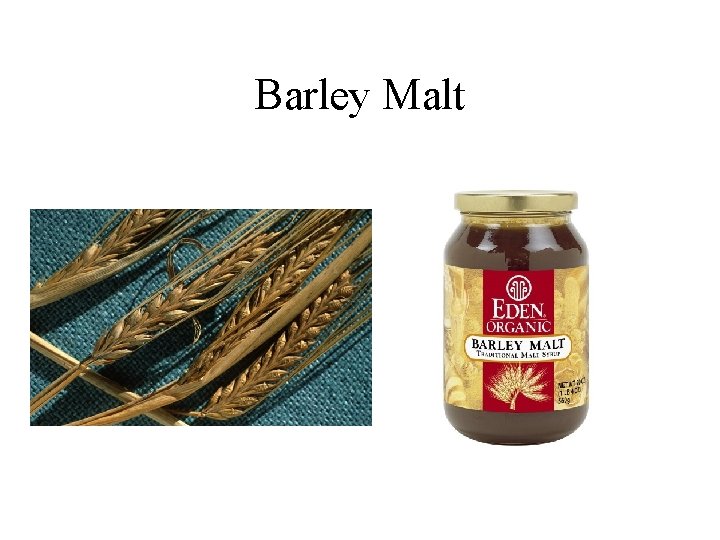 Barley Malt 