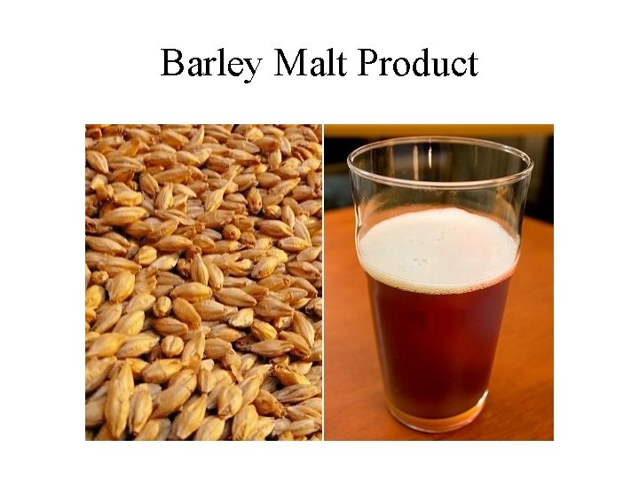 Barley Malt Product 