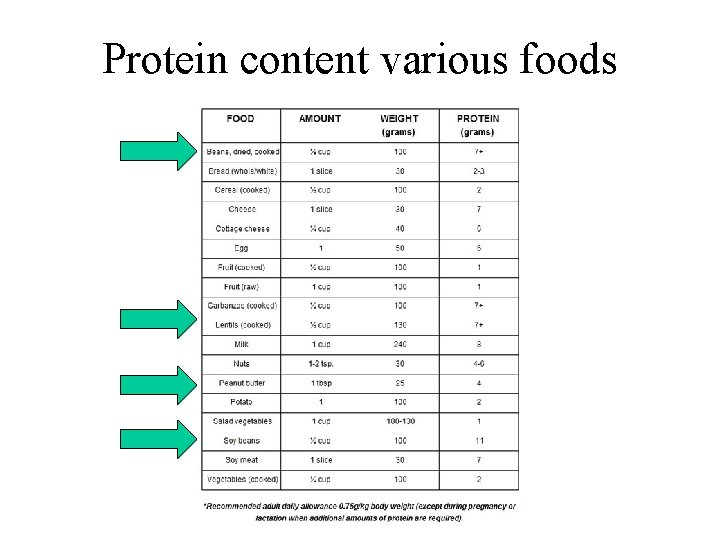 Protein content various foods 