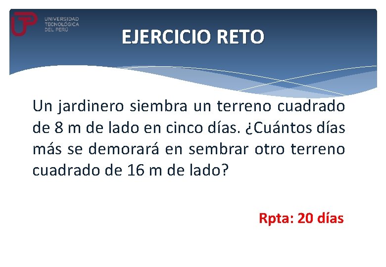 EJERCICIO RETO Un jardinero siembra un terreno cuadrado de 8 m de lado en EJERCICIO RETO Un jardinero siembra un terreno cuadrado de 8 m de lado en