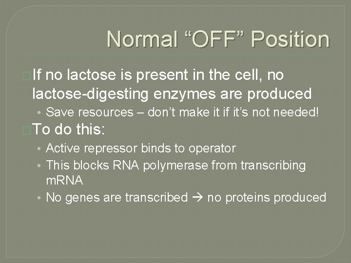 Normal “OFF” Position �If no lactose is present in the cell, no lactose-digesting enzymes