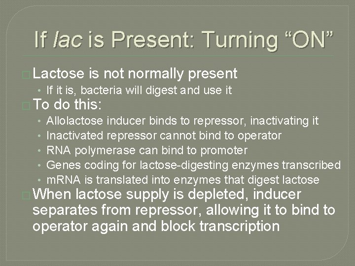 If lac is Present: Turning “ON” � Lactose is not normally present • If