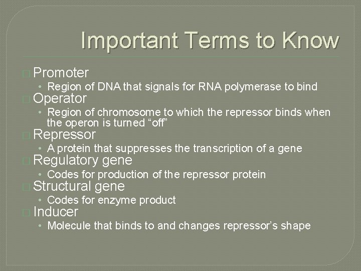 Important Terms to Know � Promoter • Region of DNA that signals for RNA