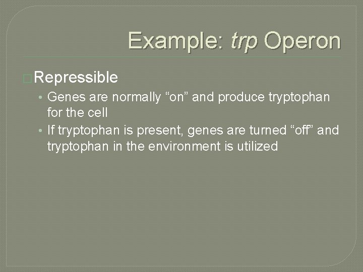 Example: trp Operon �Repressible • Genes are normally “on” and produce tryptophan for the